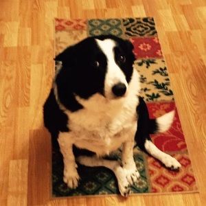 Meet your Posher, Cheryl